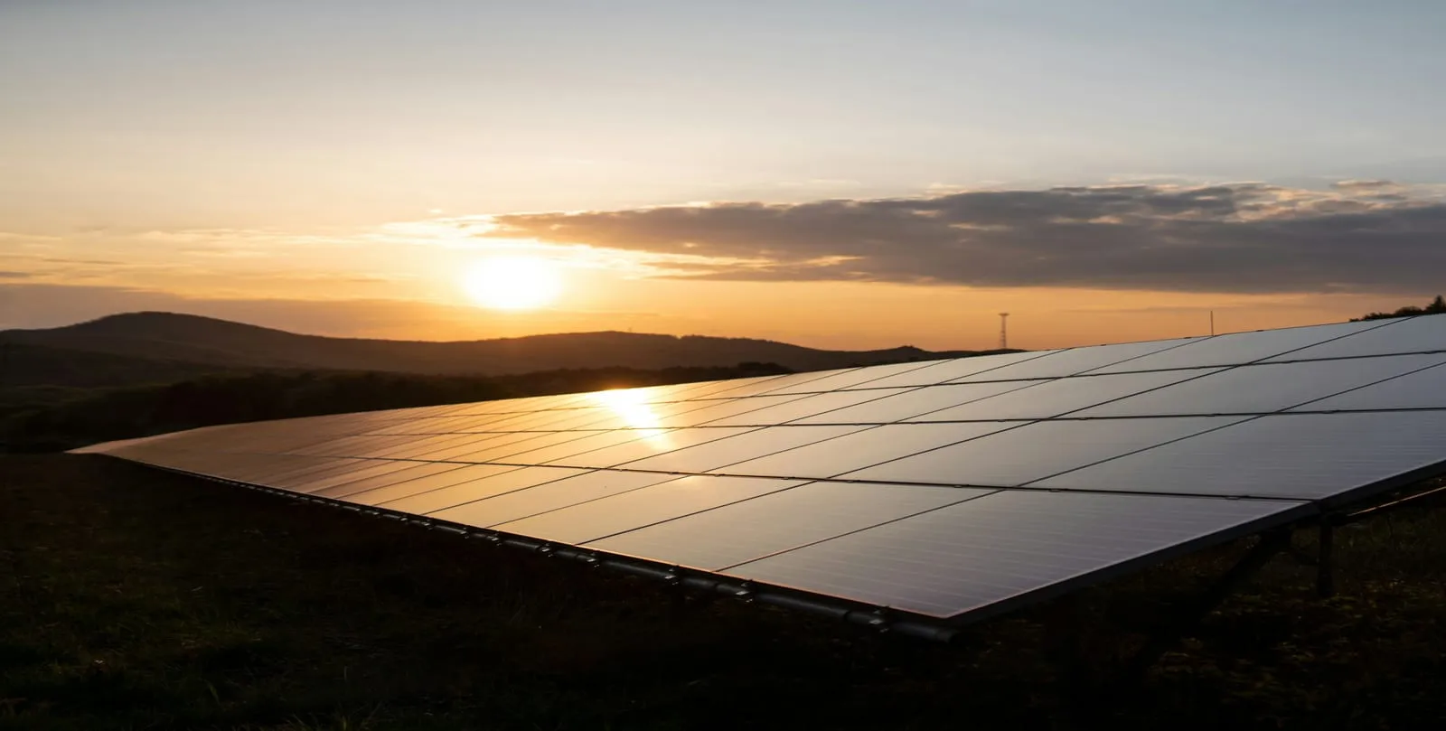 Solar panels reflecting the light of a setting sun